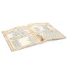 Illustrated Haggadah - Image 3