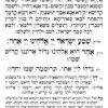 ⁦יוצרות למוסף שקלים החודש⁩ – תמונה ⁦3⁩
