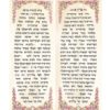 ⁦מגילת אסתר דגם ארגמן⁩ – תמונה ⁦2⁩
