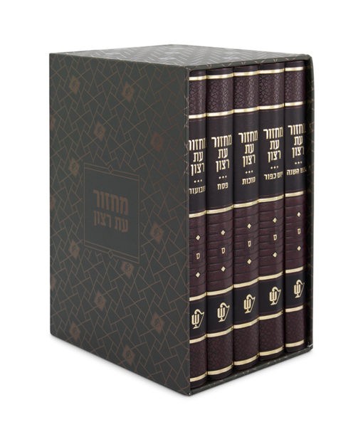 ⁦סט מחזורים סקאי - גדול⁩ – תמונה ⁦2⁩