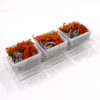 Divided serving Dish - 3 Parts - Image 3