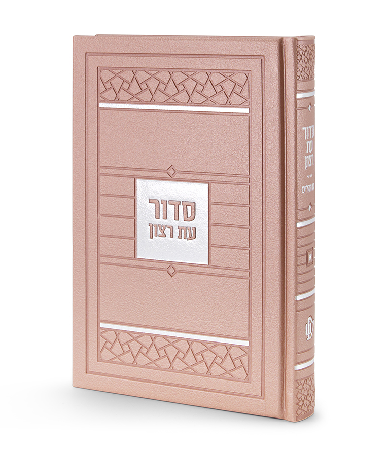 תמונה 2