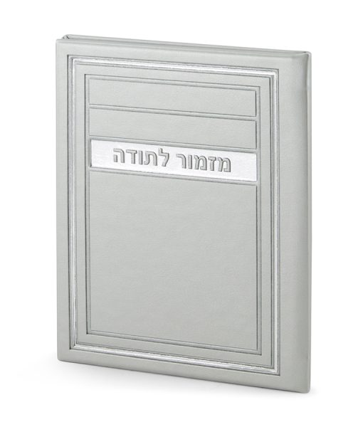 ⁦מזמור לתודה - דגם מיתר⁩ – תמונה ⁦6⁩