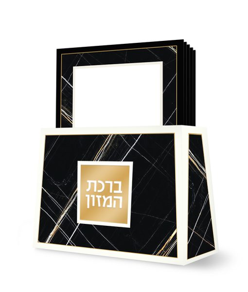 הדמיה שיש