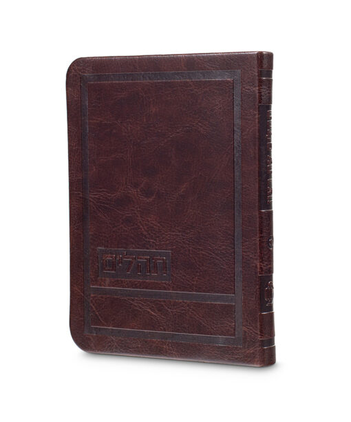 Tehillim Hadar Style 10X14