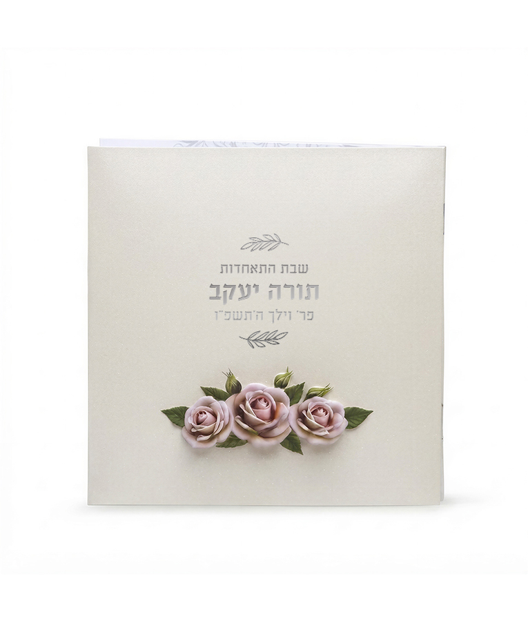 ברכון דגם שער - עודפים